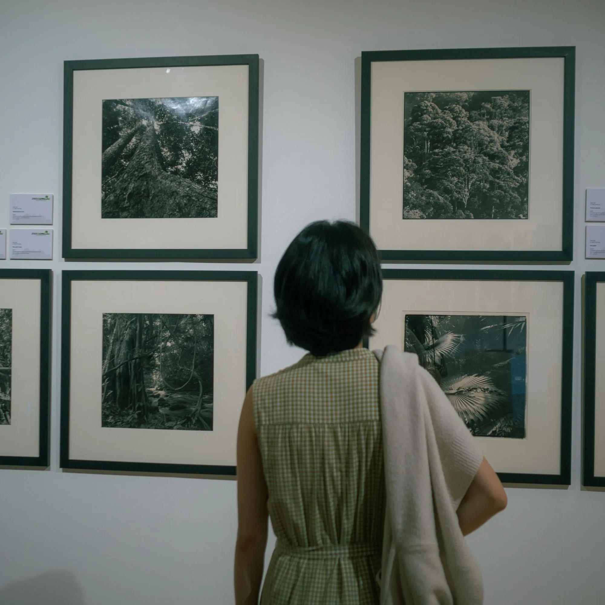 A young woman with short hair looking at paintings at the Bank Negara Museum in Kuala Lumpur, Malaysia.