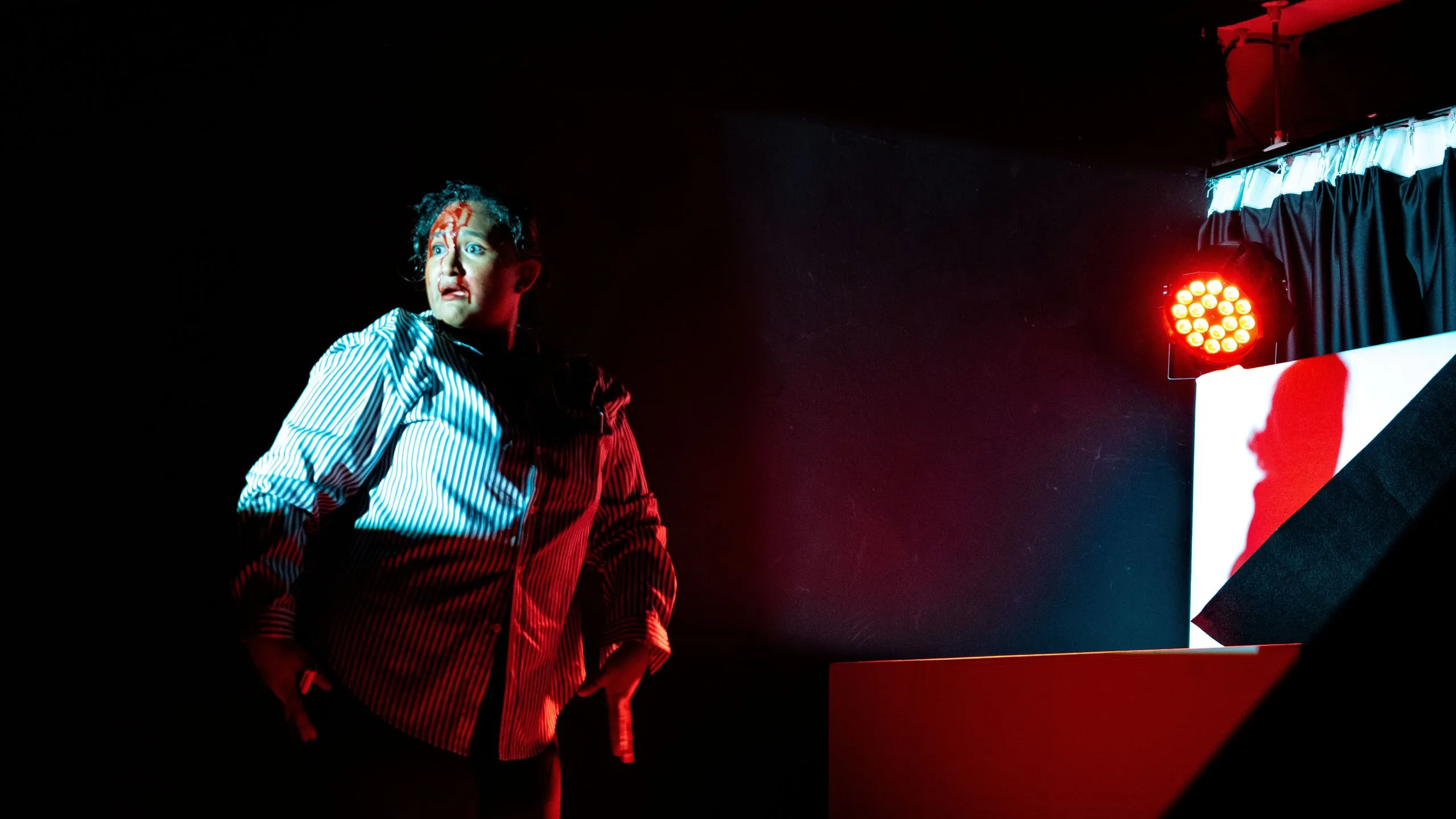 REVIEW | SUSAN is Theatre’s Hilarious, Feminist Take on Netflix Murderers
